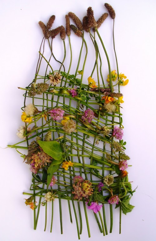 wildflowers.jpg