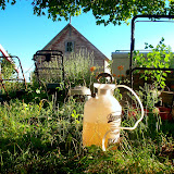 "Beautiful Junk" - copyright Dawn Olsen