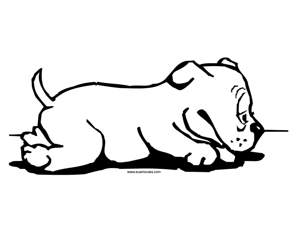 [Cachorro%25208%255B3%255D.jpg]