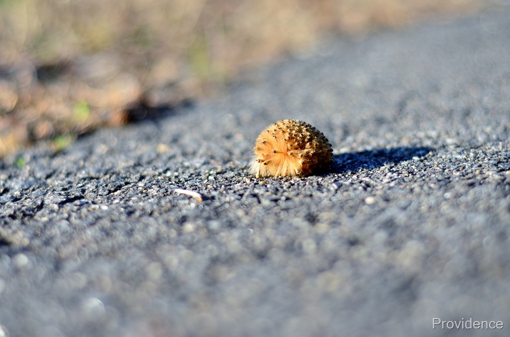 [DSC_6393%255B2%255D.jpg]
