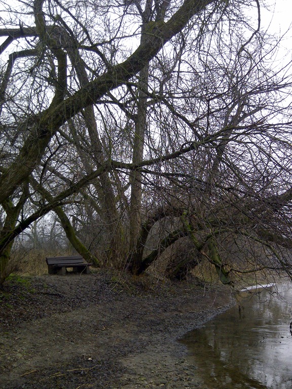 [Kitchener-20121216-00539%255B5%255D.jpg]