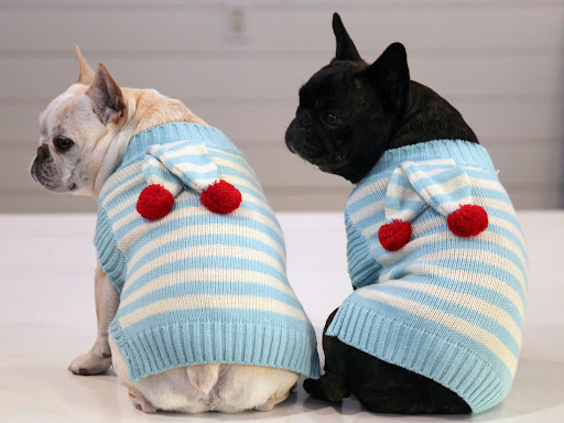I can't decide which of us looks better in this sweater.  I think its a toss up!