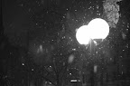 _DSC0113.JPG