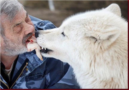 Foto Freund Si Manusia Serigala Asal Jerman makan daging