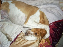 Tita y Duna6