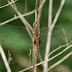 P1110623
