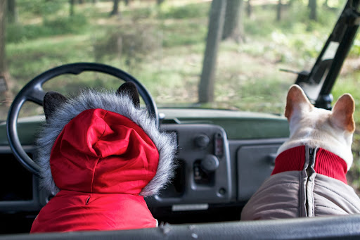 Francesca is wearing the Red Belted Coat, complete with an attached faux fur hood. I'm actually wearing something called the Puff Pajama, but it's really the perfect attire for camping, boating, or any outdoor activity. Francesca is wearing the Red Belted Coat, complete with an attached faux fur hood. I'm actually wearing something called the Puff Pajama, but it's really the perfect attire for camping, boating, or any outdoor activity.