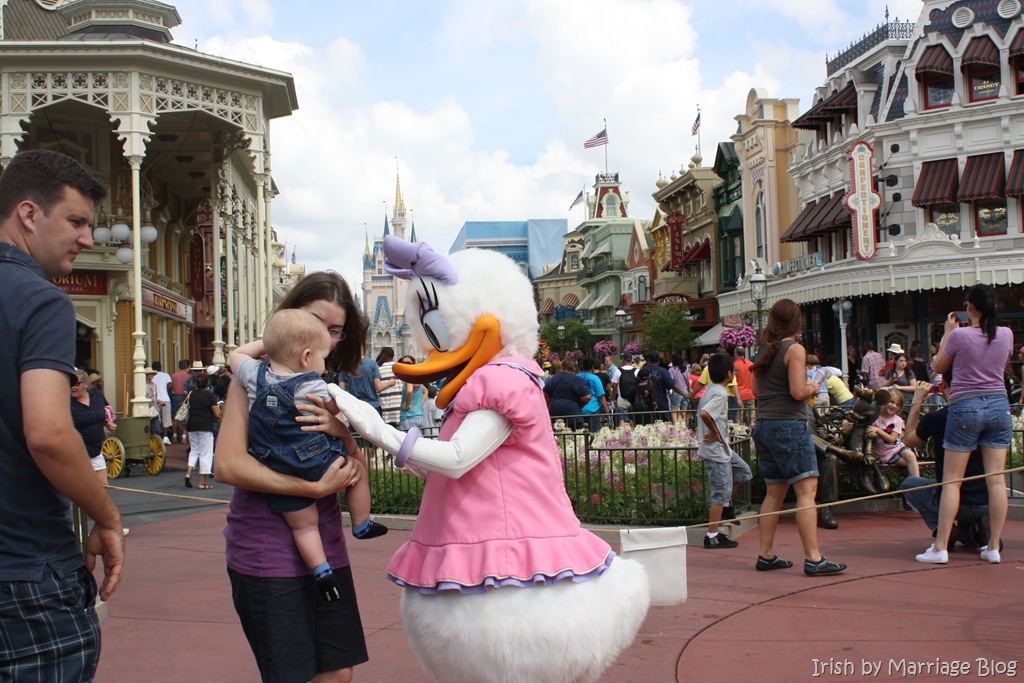 [IMG_8285%255B4%255D.jpg]