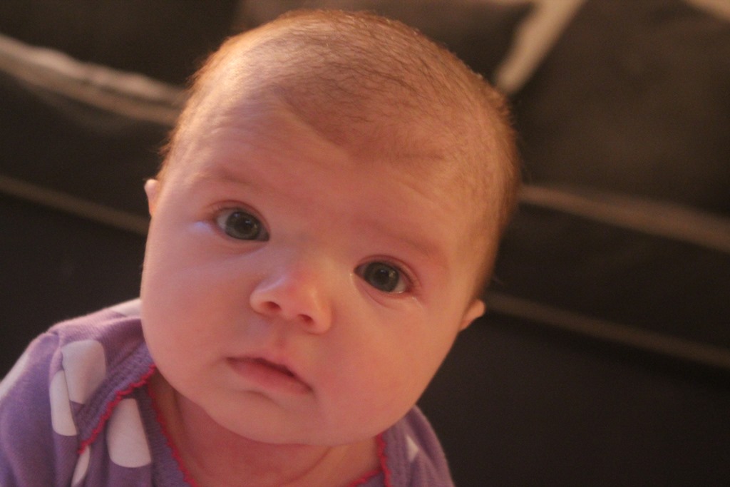 [IMG_4727%255B4%255D.jpg]