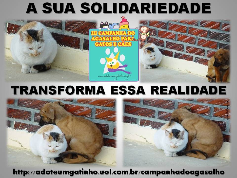 [campanha_agasalho%255B3%255D.jpg]