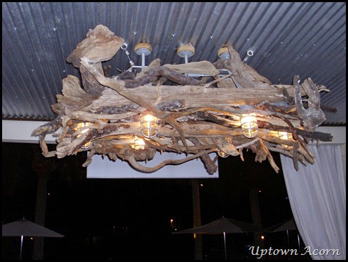 driftwood2