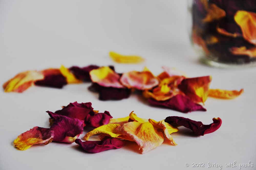 [DSC_3966%255B17%255D.jpg]