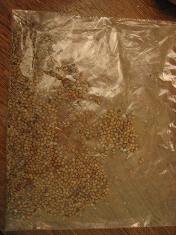 [porch%2520041%255B3%255D.jpg]