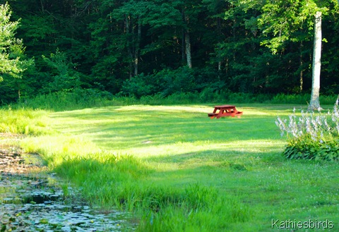 4. picnic tables-kab