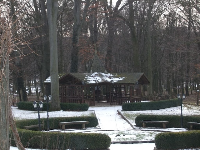 DSCF6512.JPG