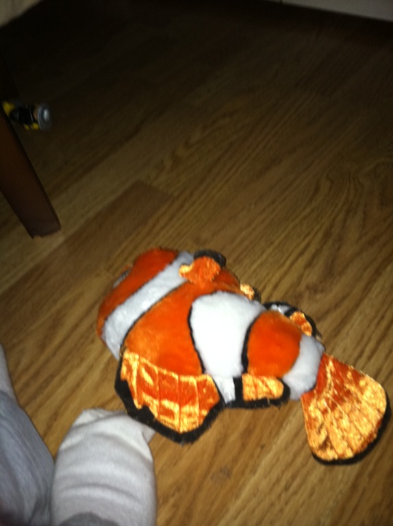 [IMG_0592%255B6%255D.jpg]