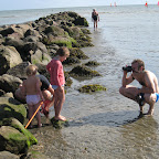 IMG_7146.JPG