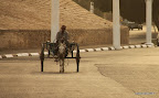 Horse-drawn carriage