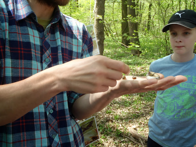 Za poznáním přírody lužní krajiny 12-13 (14).JPG