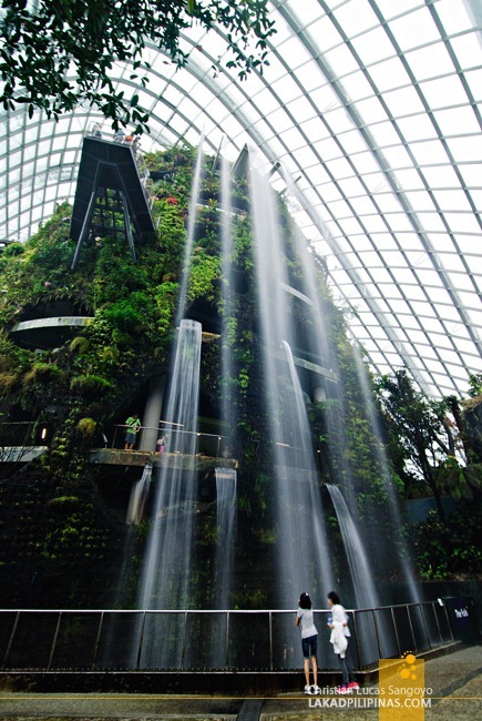 The Cloud Forest Waterfalls at Gardens by the Bay