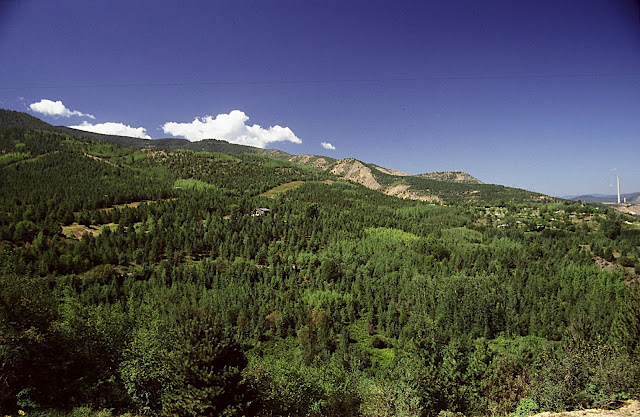 America The Beautiful - Idaho's old Bunker Hill Company - once one of the largest lead-silver mining and smelting operations in the world - planted more than two million pine and fir seedlings on the barren hills around Kellogg. The seedlings, which were grown in an underground greenhouse in the mine in the 1970s, are now 30 to 40 feet tall. Look closely on the far right and you'll see one of the stacks at the company's old smelter. Both the smelter and its  stacks are gone now.