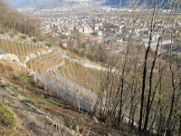 111227 L'Annunciata da Angone 057.JPG Photo