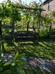 garden june 2011 022 garden june 2011 022