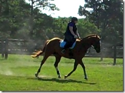 Solo Canter Warmup