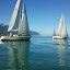 Régate croisière 2011