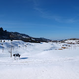 fotos nevada