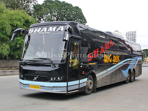 Shama Big Bus