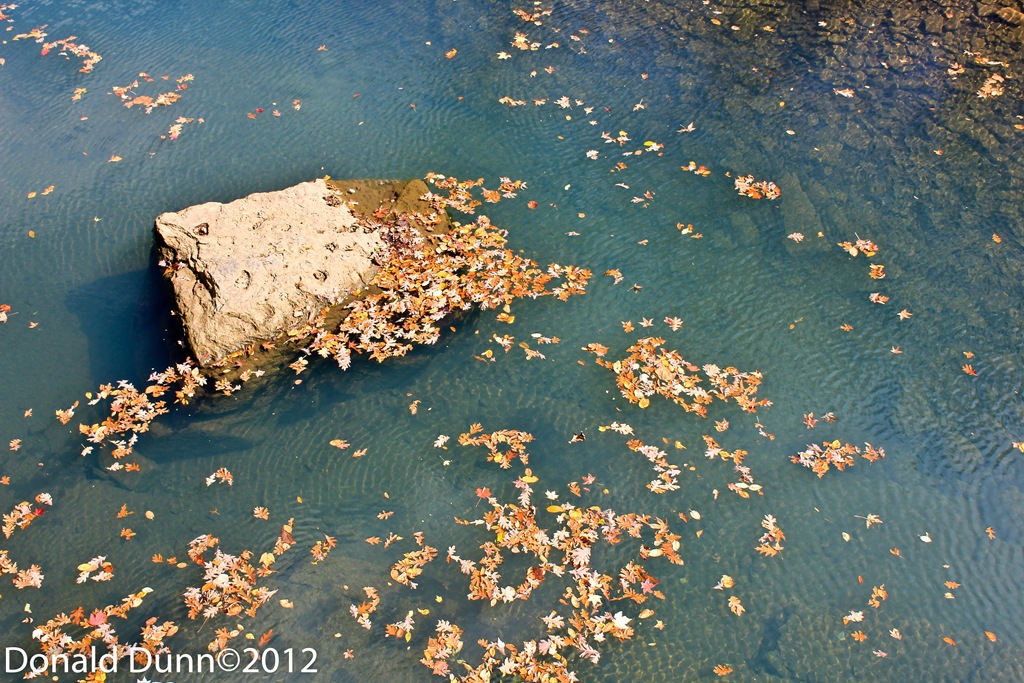 [121024_E14%255B4%255D.jpg]