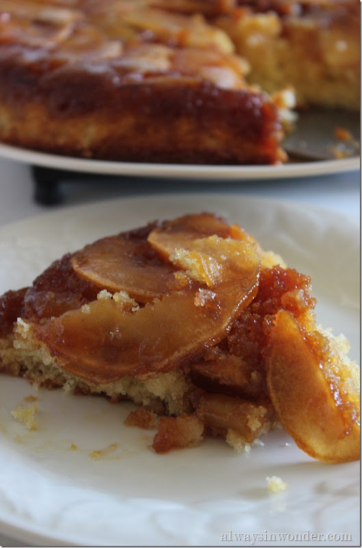 caramelized apple skillet cake (6)