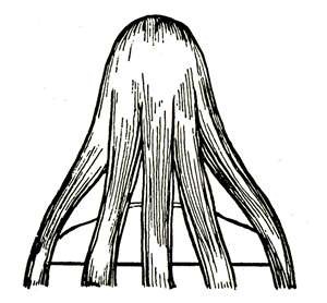 [clip_image042%255B5%255D.jpg]