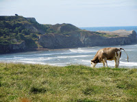 Sandsend Whitby