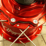 image7.jpg