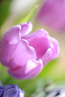 20120223_100942