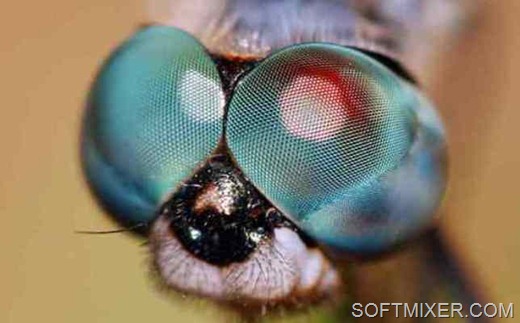 [clip_image009%255B9%255D.jpg]