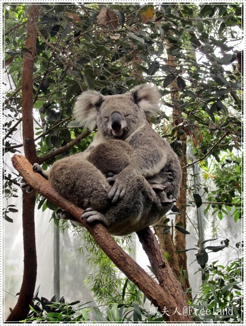 [wildlife4%255B4%255D.jpg]