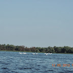 DSCN0270.JPG