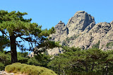 DSC_0292.JPG