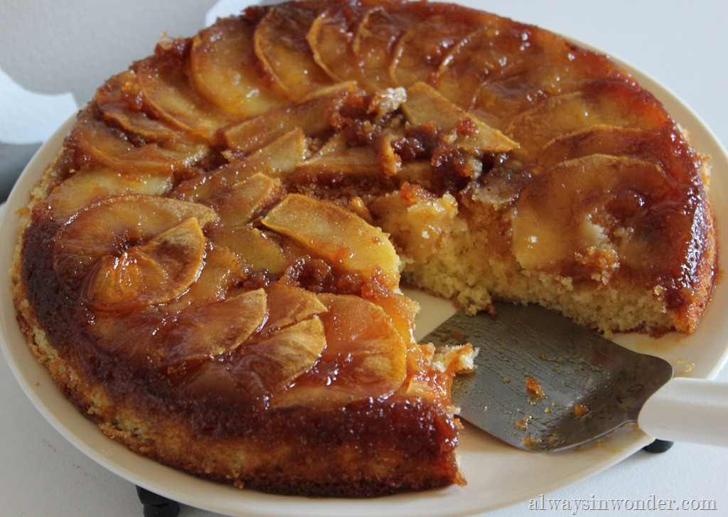 [caramelized%2520apple%2520skillet%2520cake%2520%25282%2529%255B5%255D.jpg]