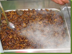 800px-Silkworm_snack