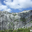 Scenic Selway Bitterroot Wilderness - CIMG0731.jpg
