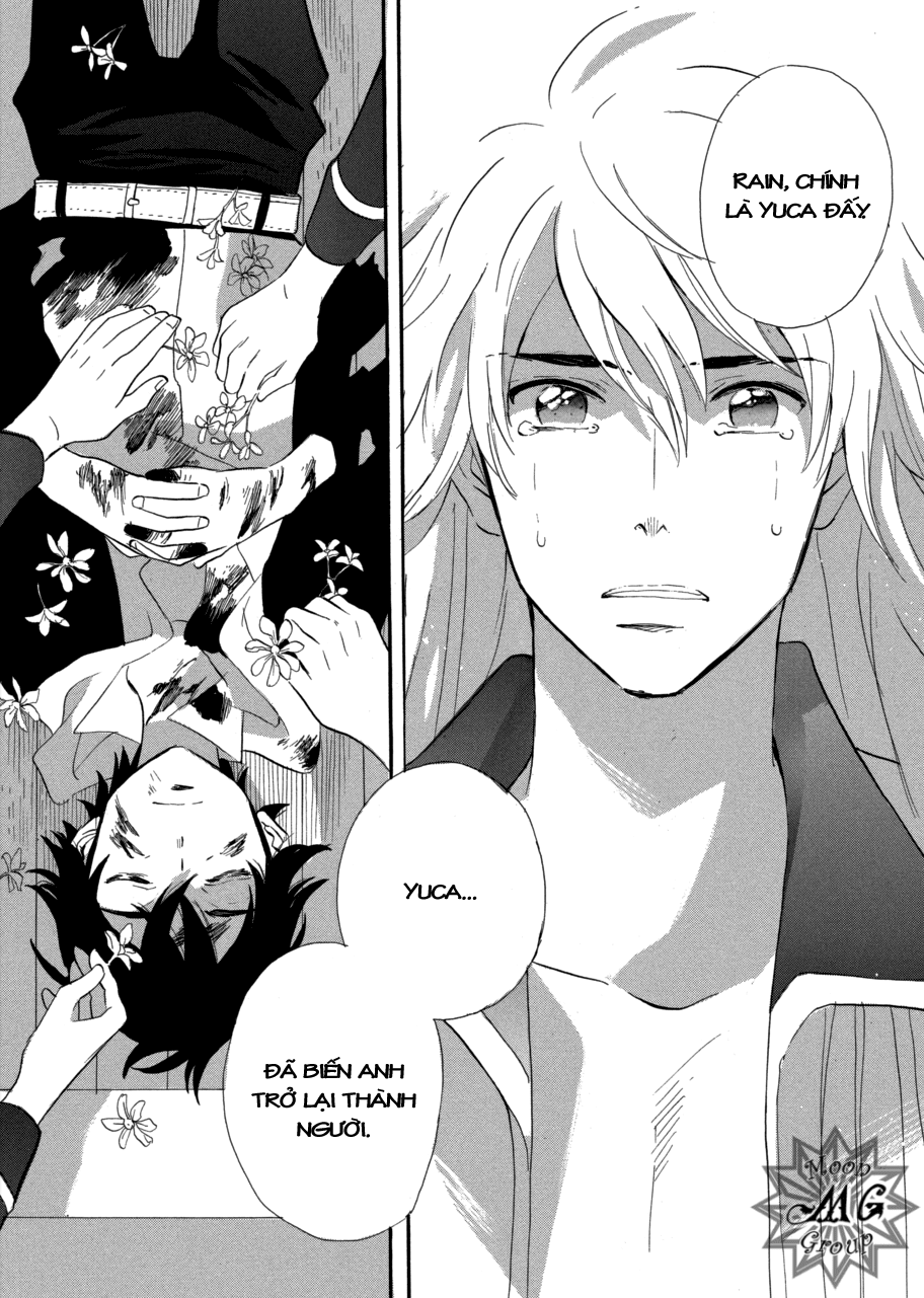 Meteor Methuselah - Sao băng chap 66