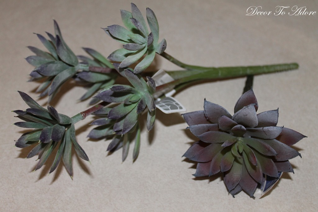 [fish%2520001%255B3%255D.jpg]