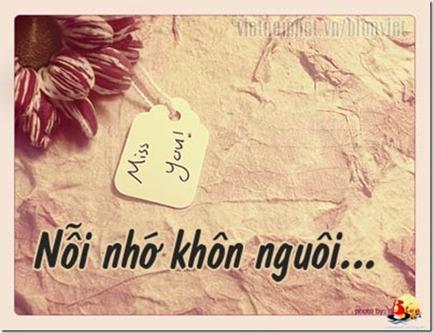 NOI TINH DAU - LUKHACHDEM NOI TINH DAU - LUKHACHDEM