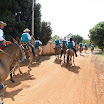 2EncontrodeMuladeiros-364.JPG