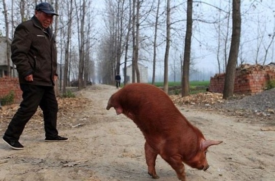 [china-mean-while-593be4%255B2%255D.jpg]