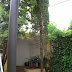 Jardí de la casa de Joan Margarit